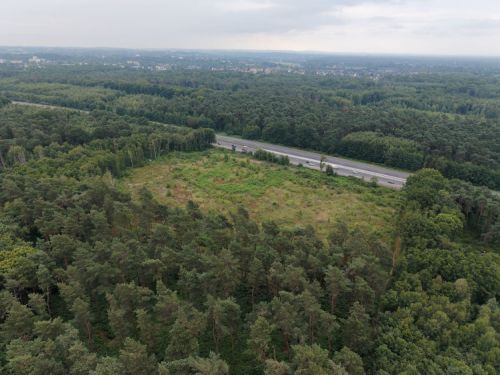 Bürgerbusch Rodungsfläche 2