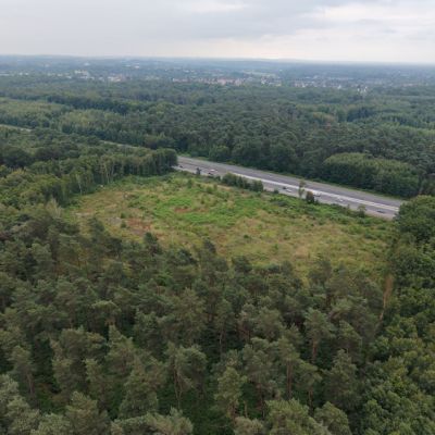 Bürgerbusch Rodungsfläche 2