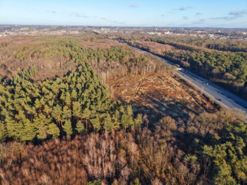 Bürgerbusch Rodungsfläche 2