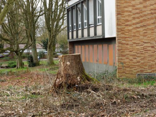 Alkenrath April 2023