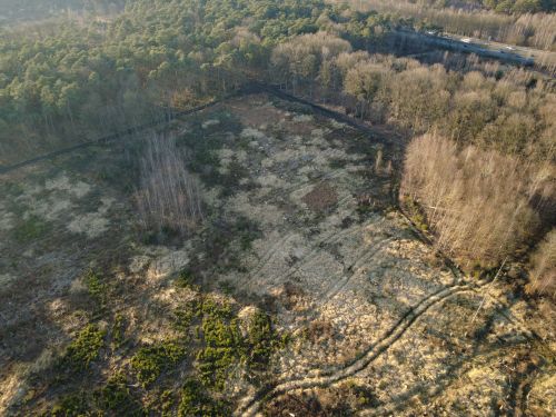 Bürgerbusch Rodungsfläche 9