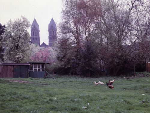 Nähe Münsters Gäßchen