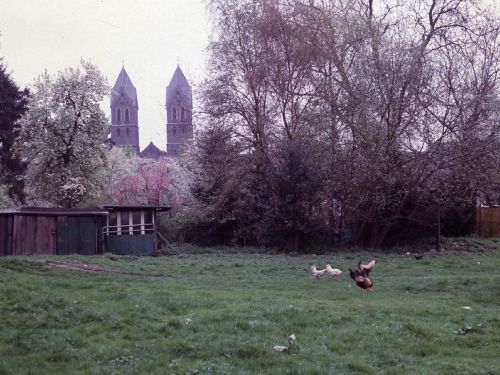 Nähe Münsters Gäßchen