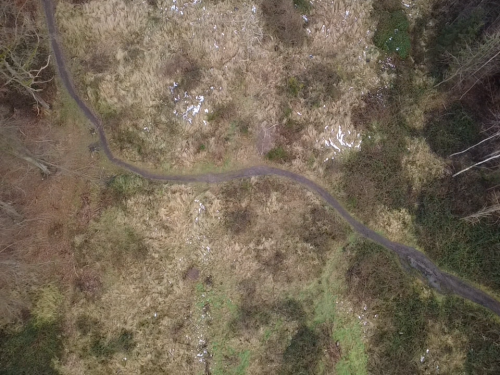 Bürgerbusch Rodungsfläche 5