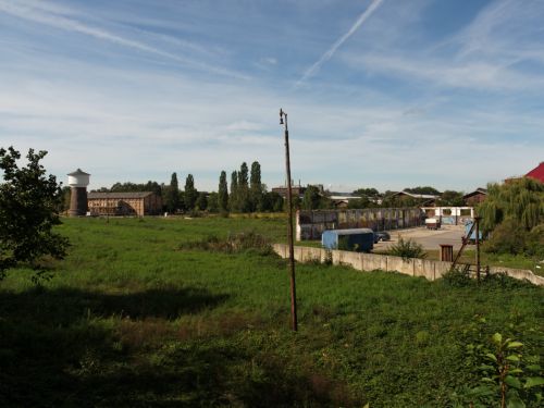 2010