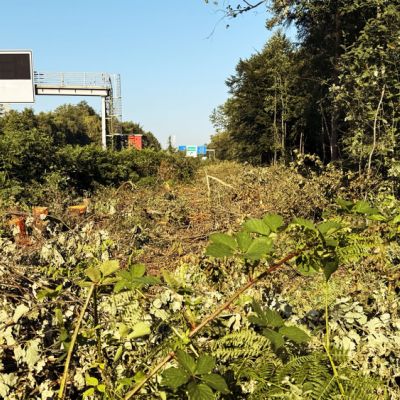 Neben der A1
