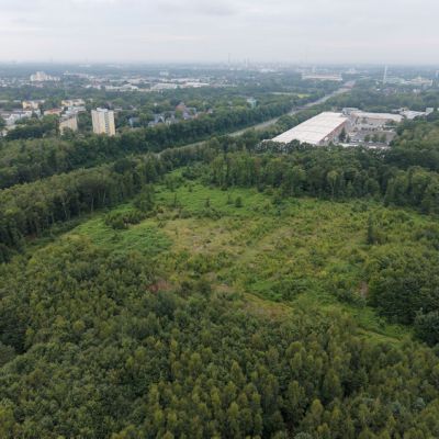 Bürgerbusch Rodungsfläche 1