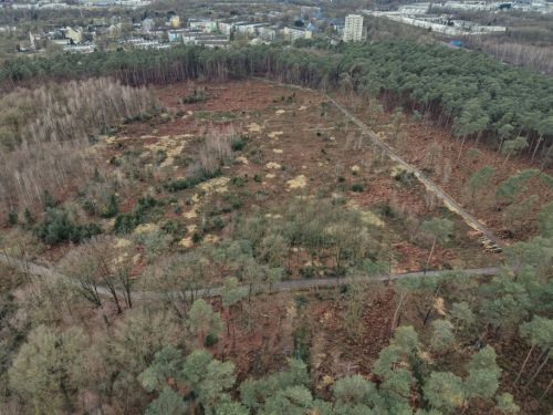 Bürgerbusch Rodungsfläche 8