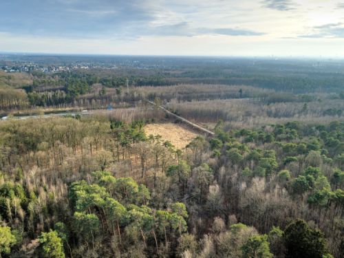 Bürgerbusch Rodungsfläche 6