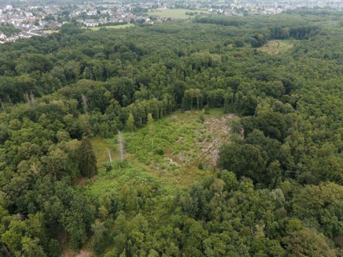 Bürgerbusch Rodungsfläche 4